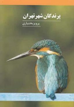 عکس پرندگان شهر تهران