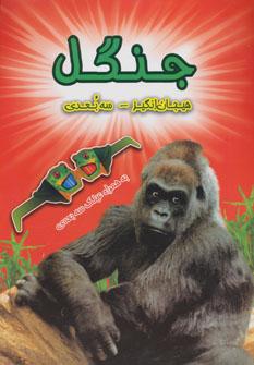عکس جنگل (سه بعدی)