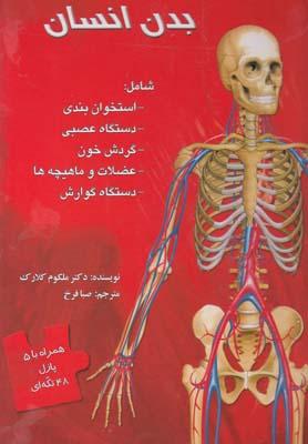 عکس بدن انسان شامل