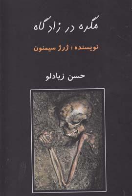 عکس مگره در زادگاه