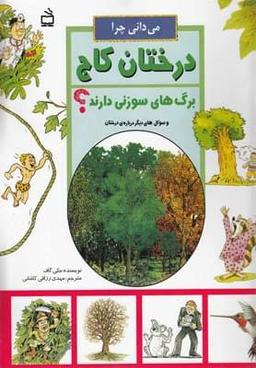 عکس می‌دانی چرا درختان کاج برگ‌های سوزنی دارند