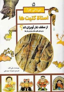 عکس می‌دانی چرا استالاکتیت‌ها از سقف غار آویزان‌اند؟