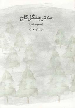 عکس مه در جنگل کاج