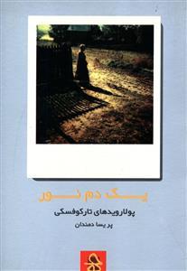 عکس یک‌دم نور، پولارویدهای تارکوفسکی