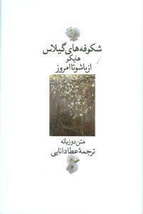 عکس شکوفه‌های گیلاس