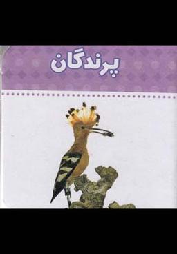 عکس پرندگان
