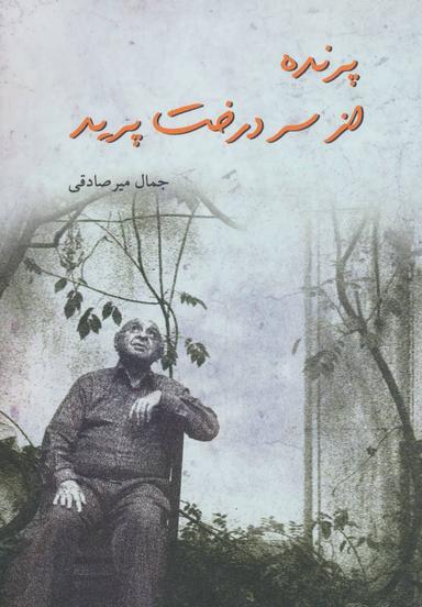 عکس پرنده از سر درخت پرید
