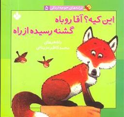 عکس های سری ترانه‌های جوجه اردکی پنجره