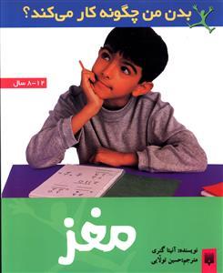 عکس مغز
