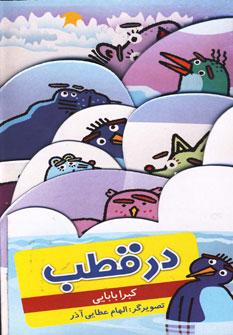 عکس در قطب