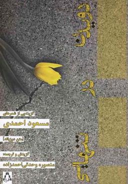 عکس تکه قبل از تکه شدن