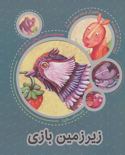 عکس زیرزمین بازی