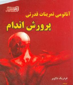 عکس آناتومی تمرینات قدرتی در پرورش اندام