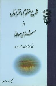 عکس شرح منظوم دفتر اول از مثنوی مولانا