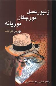 عکس زنبور عسل٬مورچگان و موریانه
