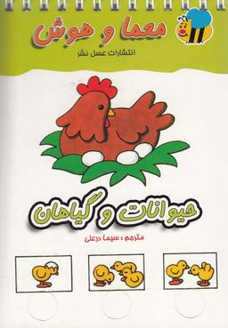 عکس معما و هوش