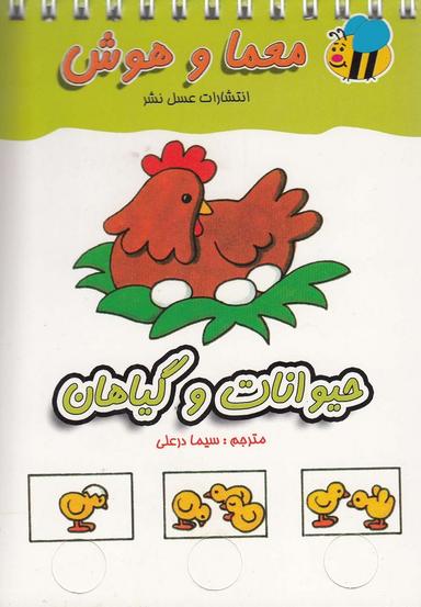عکس معما و هوش
