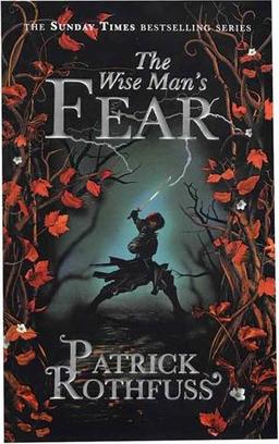 عکس The Wise Mans Fear - The Kingkiller Chronicle 2