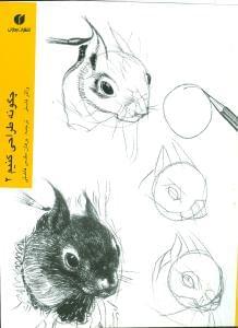 عکس چگونه طراحی کنیم (۲)