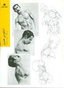 عکس آناتومی هنری