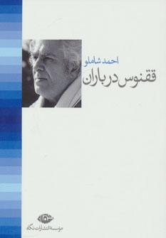 عکس ققنوس در باران