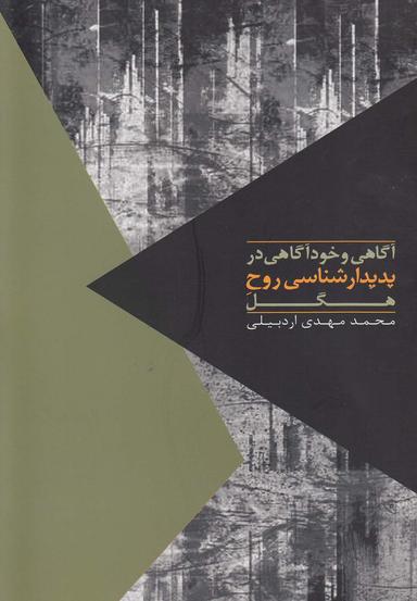 عکس آگاهی و خودآگاهی در پدیدارشناسی روح هگل