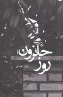 عکس روز حلزون