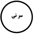 انتشارات سرنی