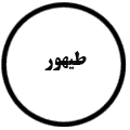 انتشارات طیهور