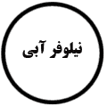 انتشارات نیلوفر آبی