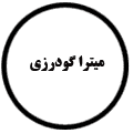 انتشارات میترا گودرزی
