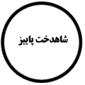 انتشارات شاهدخت پاییز